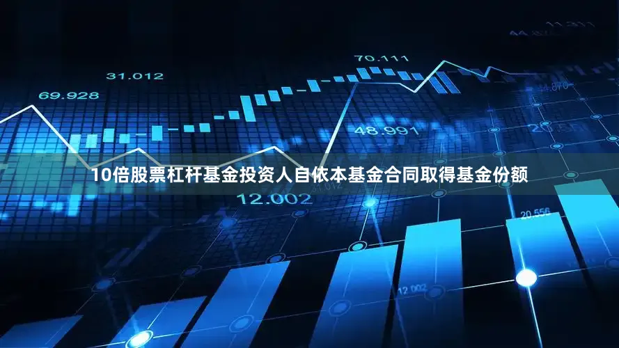 10倍股票杠杆基金投资人自依本基金合同取得基金份额