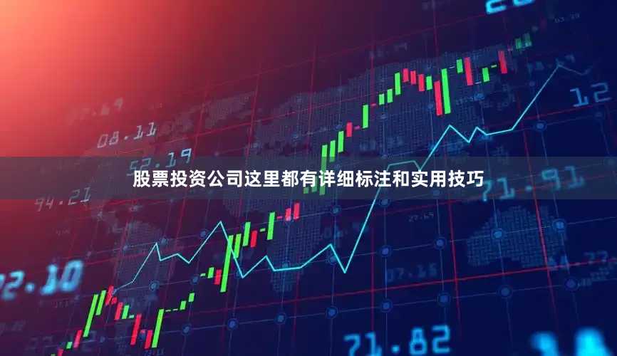 股票投资公司这里都有详细标注和实用技巧