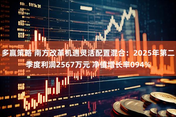多赢策略 南方改革机遇灵活配置混合：2025年第二季度利润2567万元 净值增长率094%