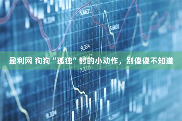 盈利网 狗狗“孤独”时的小动作，别傻傻不知道